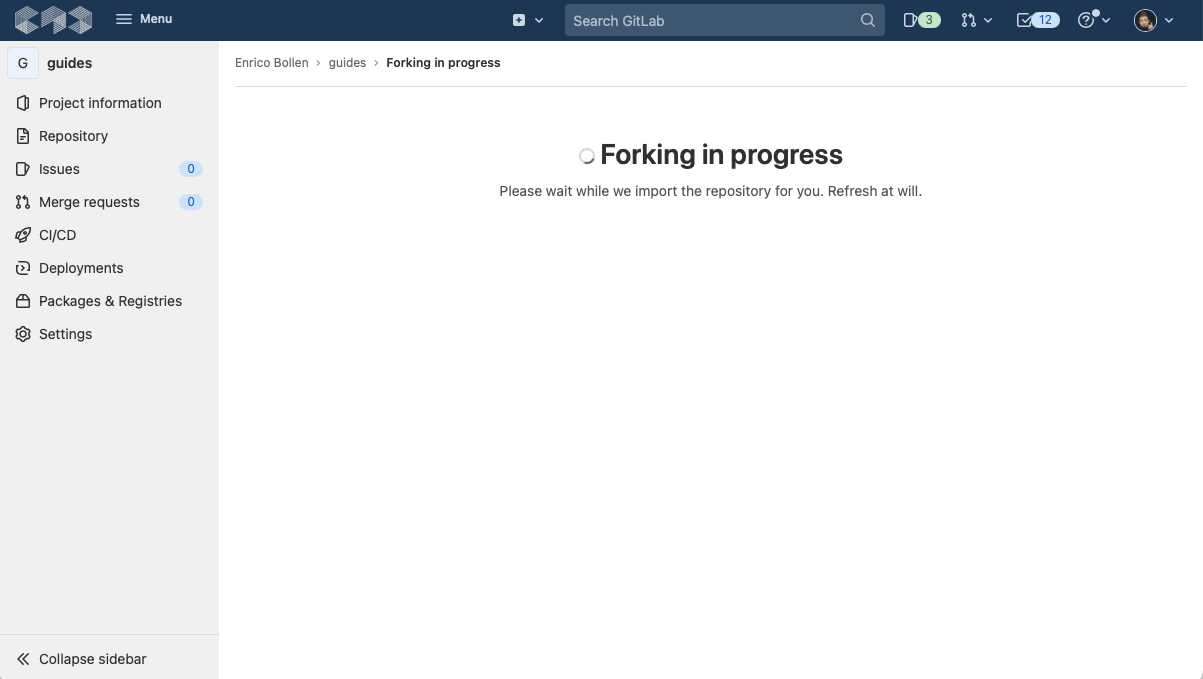 Screenshot of loading screen on GitLab
