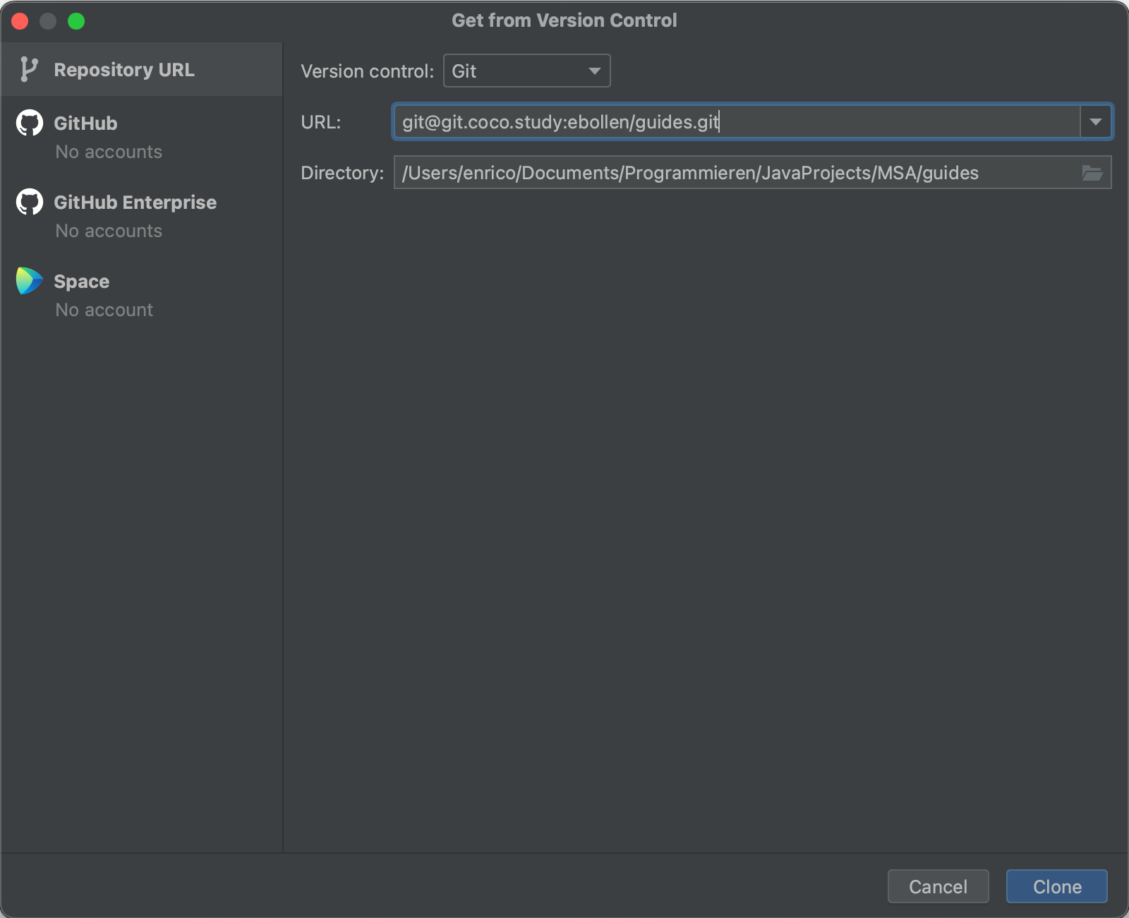 Screenshot of IntelliJ clone screen