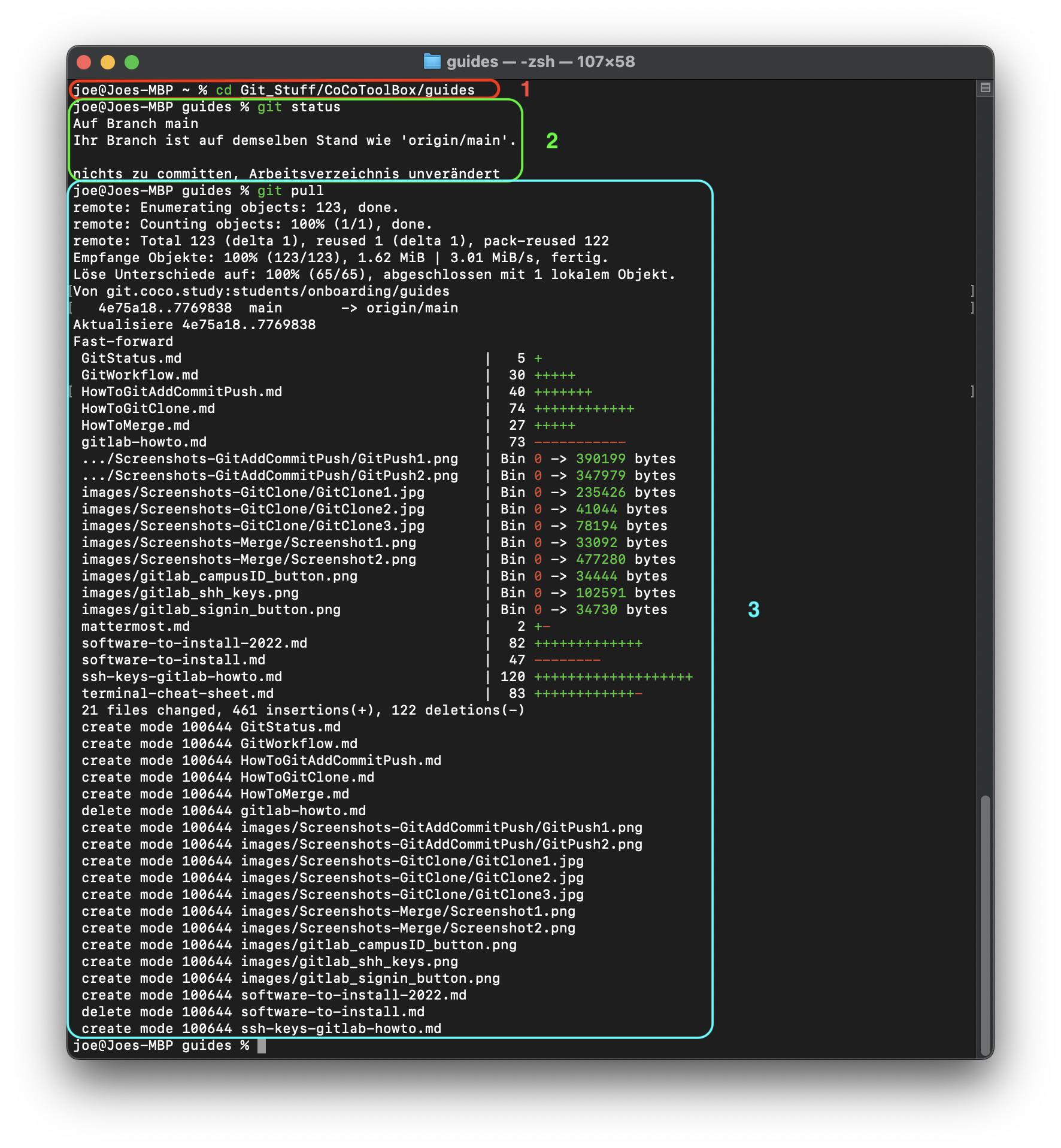 Screenshot git pull Mac Terminal