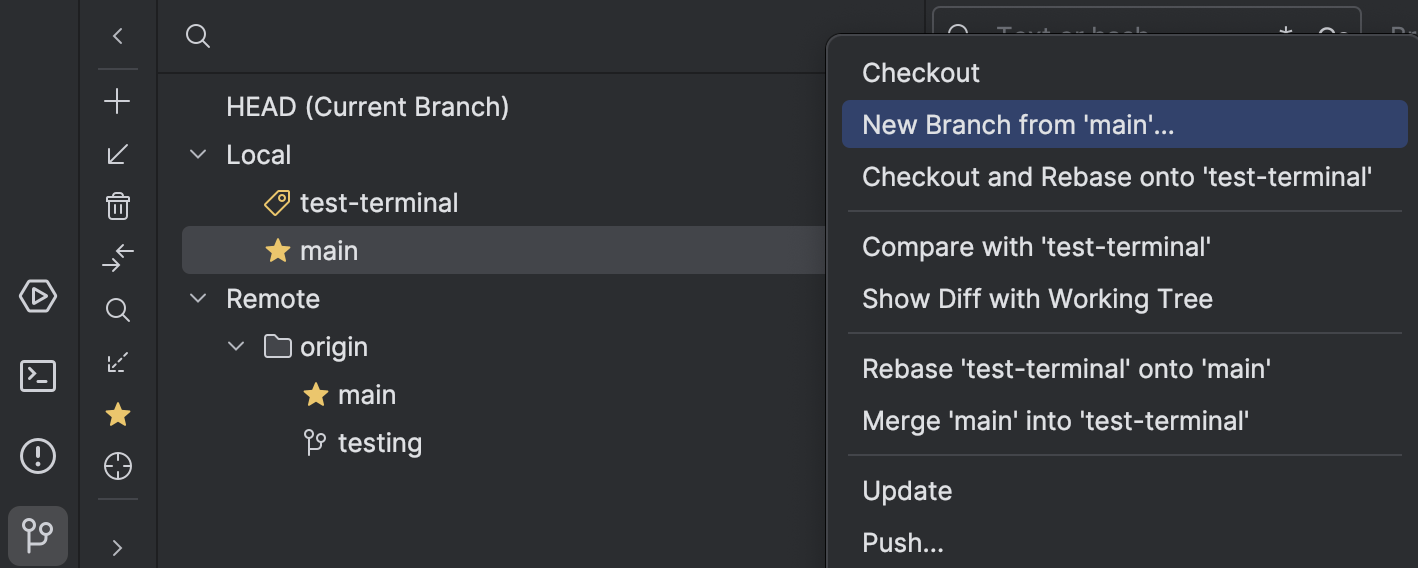 Screenshot JetBrains branch menu